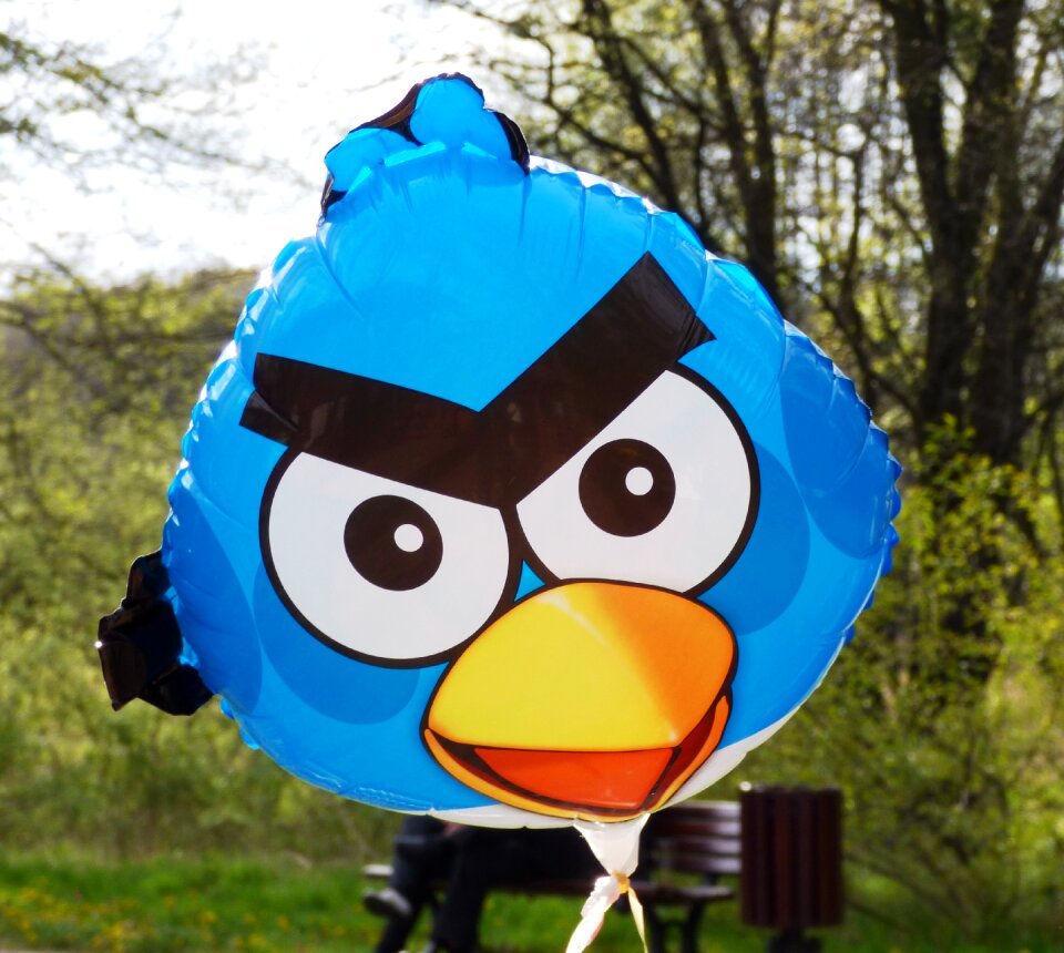 Birds the cartoon character