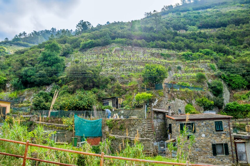 Rural nature terraced land