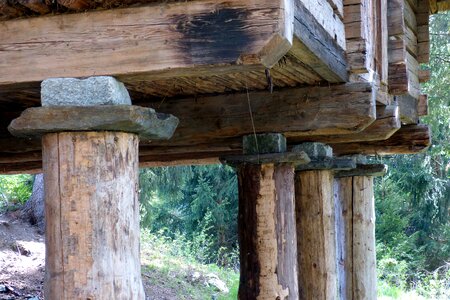 Memory wood columns columnar photo