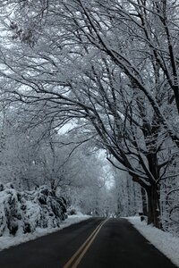 Asphalt winter winter season
