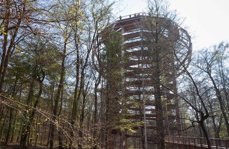 Treetop upward construction
