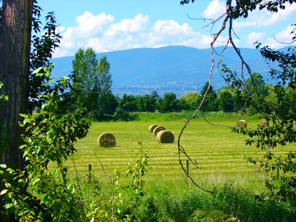 Rural country countryside