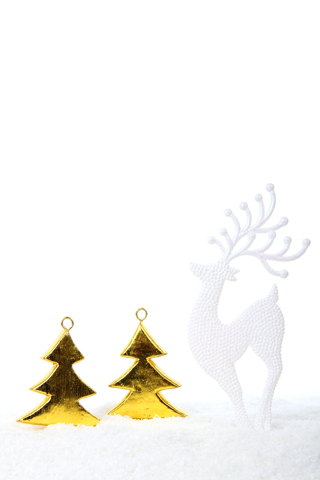 Christmas decoration holiday