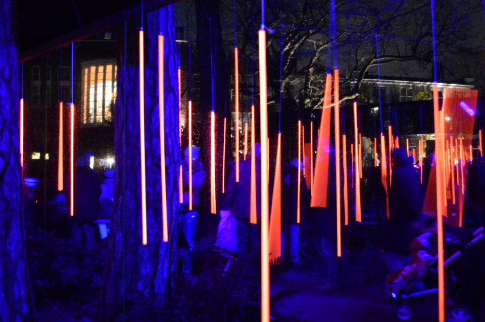 Art park night