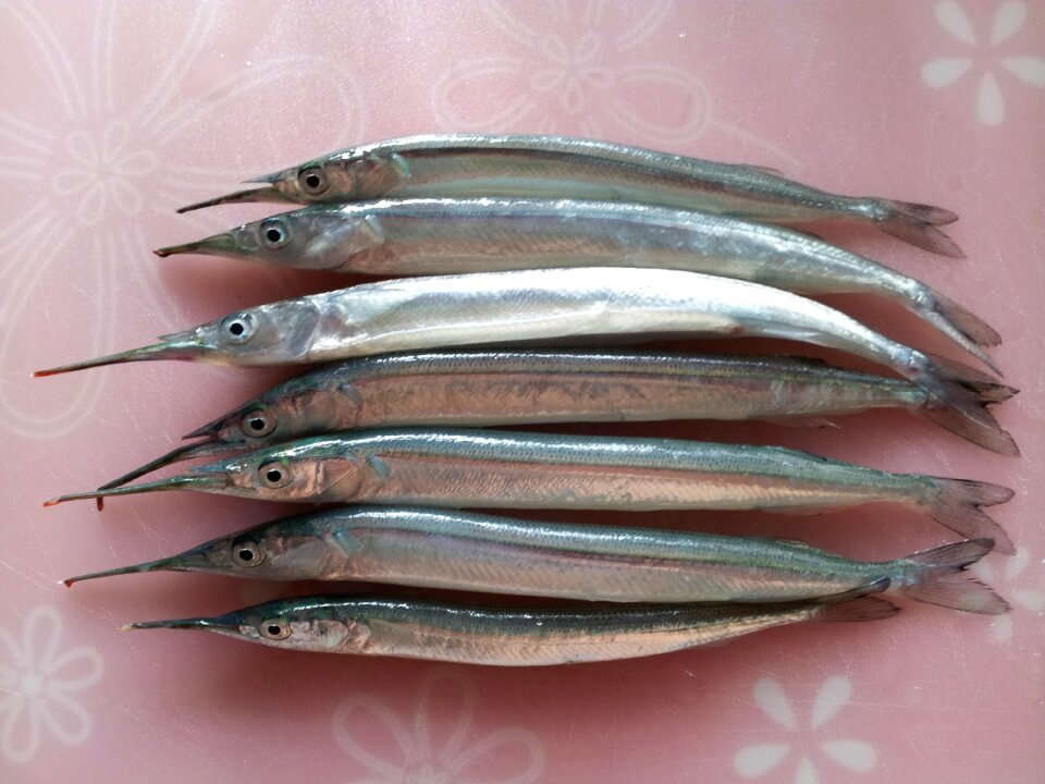 Hakgongchi fishing fish