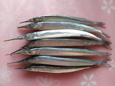 Hakgongchi fishing fish