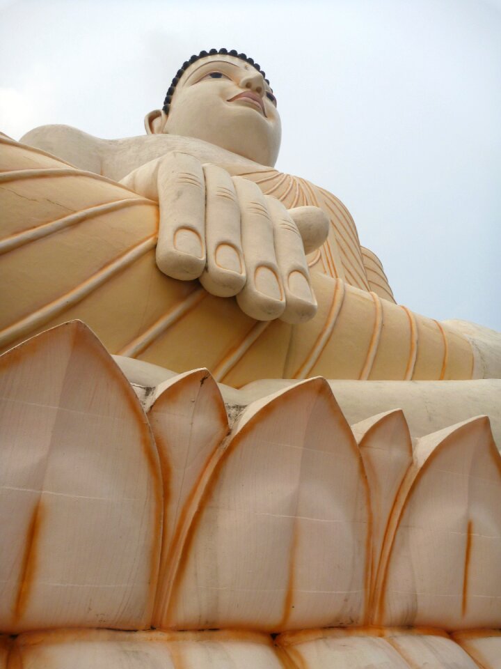 Buddha the statue buddhism