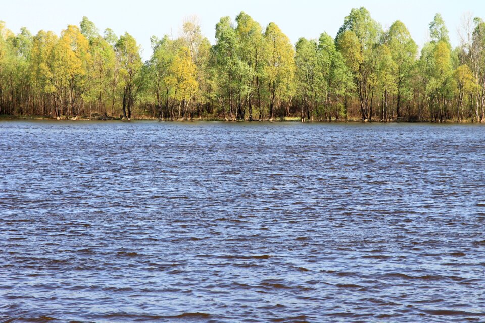 Chenobyl area water