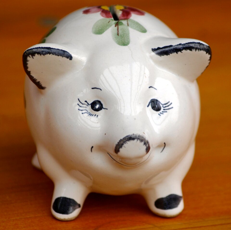 Save piglet economical