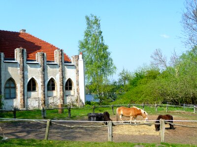 Peacock island berlin havel