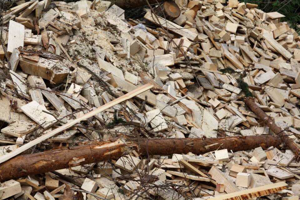 Wood biomass trunks