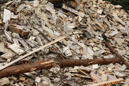Wood biomass trunks