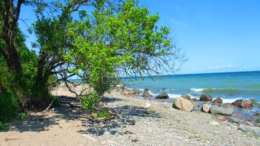 Beach coast sea