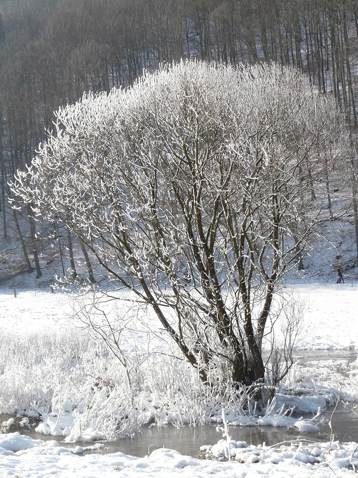 Backlighting deep snow wintry