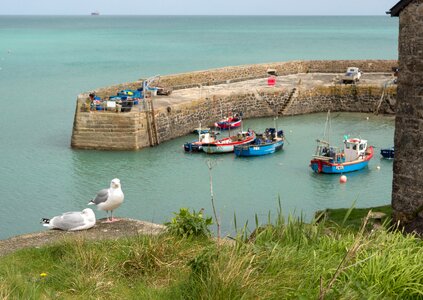 Rocky coast water beach photo