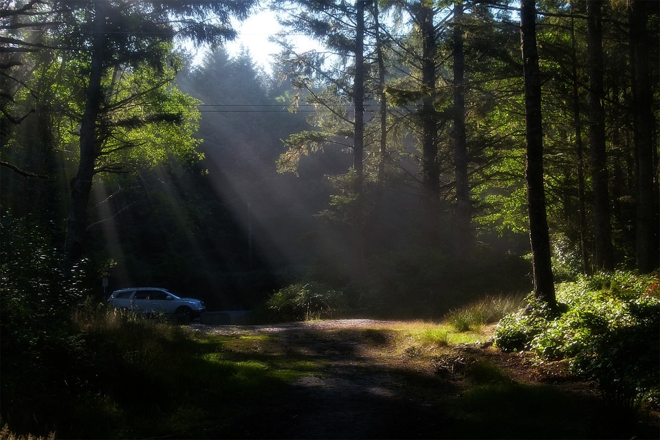 Sunlight sun light