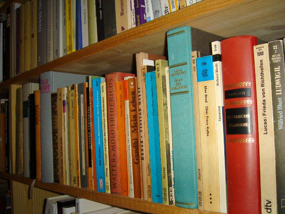Read bookcase book shelf
