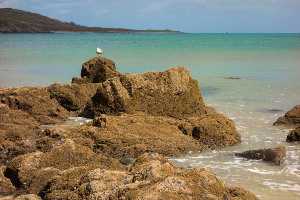 Rocky coast water beach photo