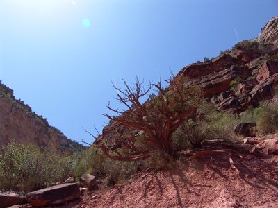 Arizona usa nature photo