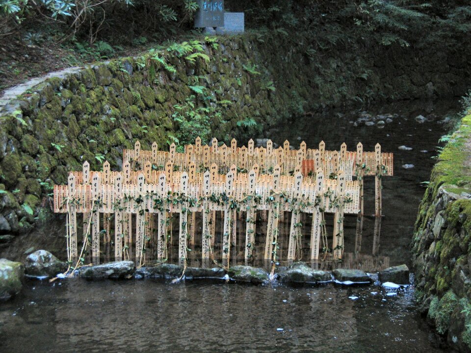 Cemetery forest crosses