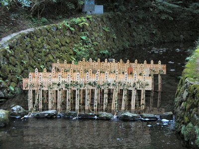 Cemetery forest crosses