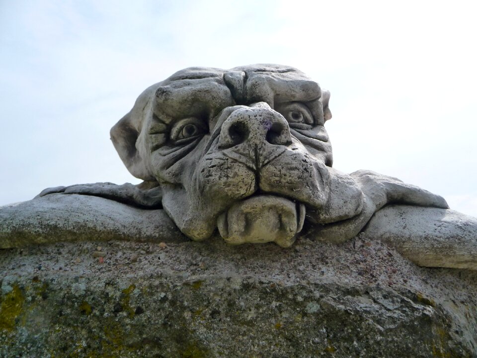 Sculpture statue dog