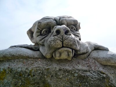 Sculpture statue dog