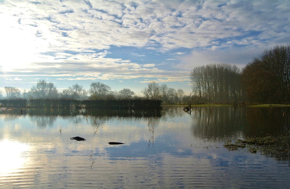 Country landscape reflexion