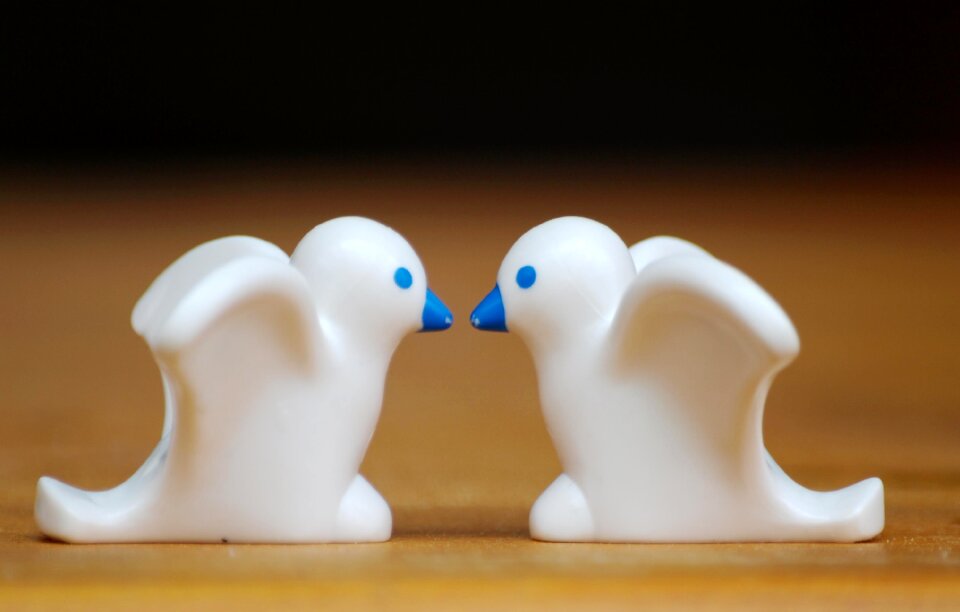 Couple birds tender