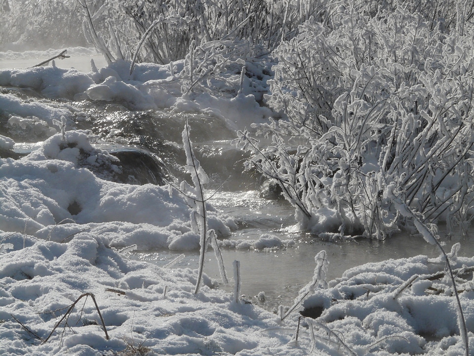 Winter hoarfrost snow