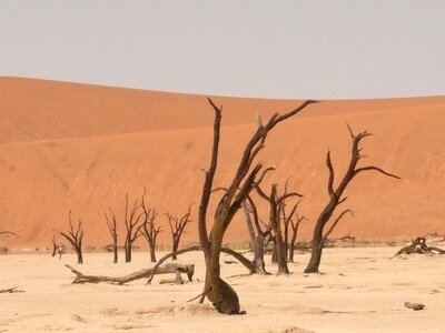 Namibia drought sand