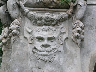 Satyr nervi particular