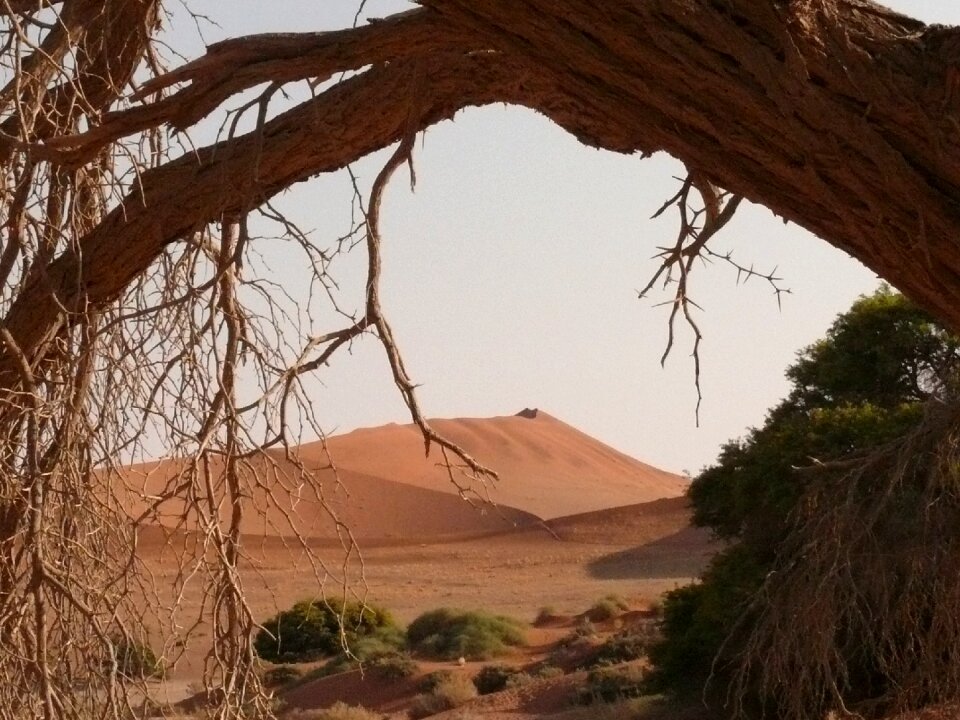 Drought soussosvlei sand