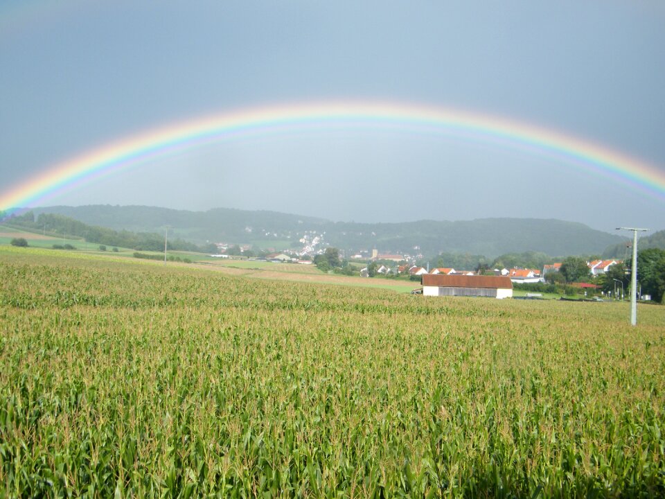 Rainbow cornfield field