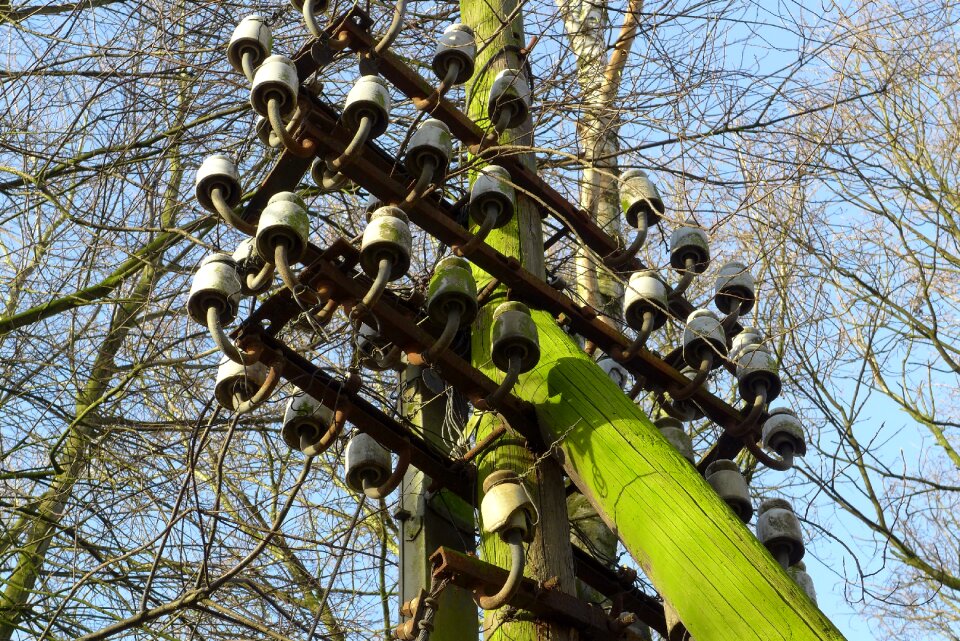Telegraph pole rarely weathered