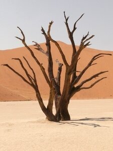Namibia drought sand