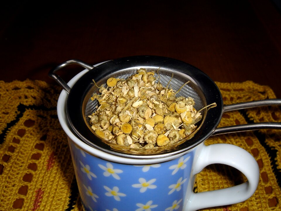 Healthy medicinal herbs medicinal herb