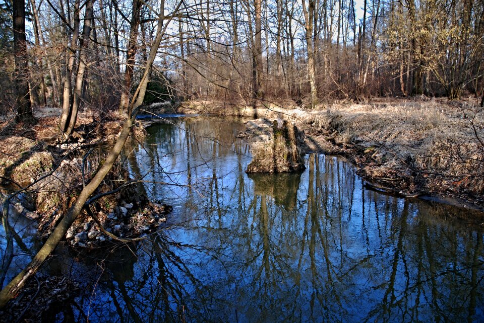 River at the mill south bohemia
