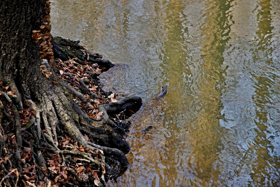 River at the mill south bohemia