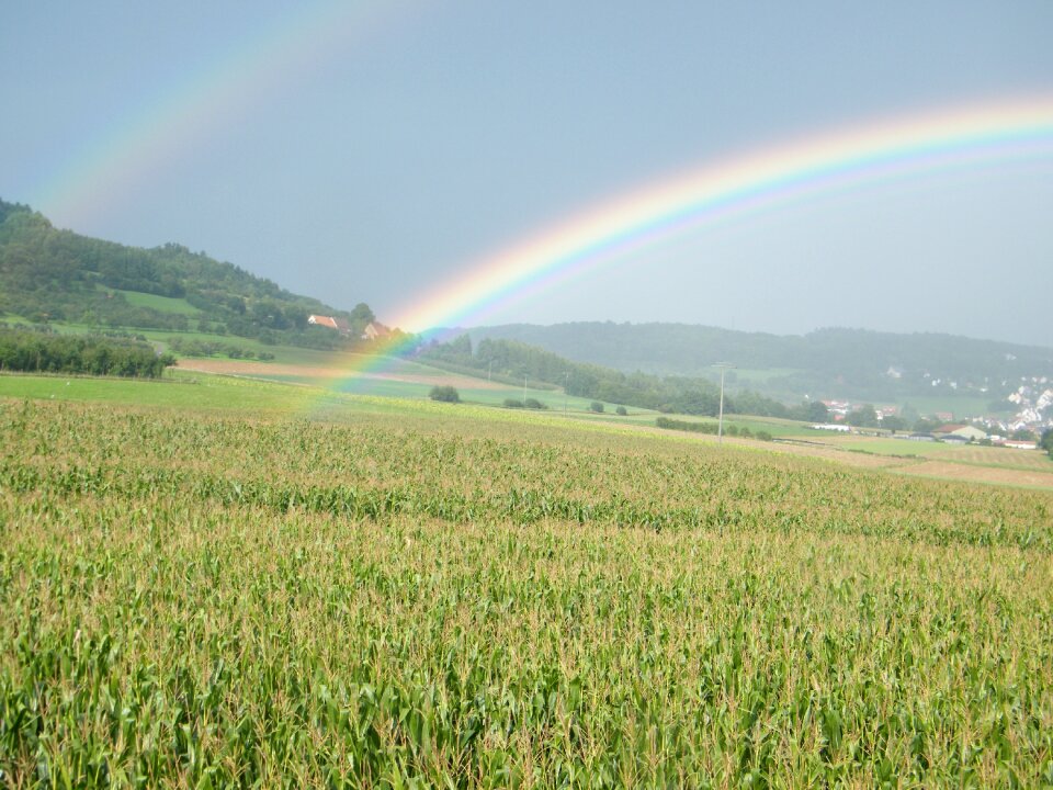 Rainbow cornfield hill
