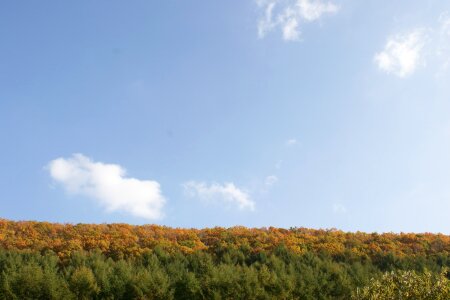 Olle gill jeju sky photo