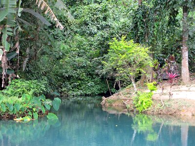 Blue lagoon water jungle photo