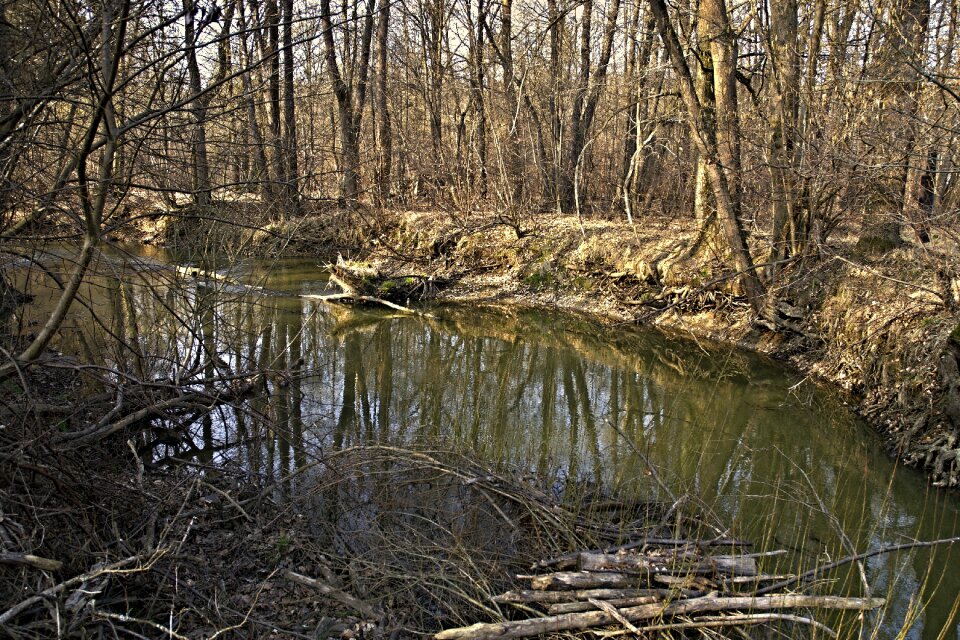 River at the mill south bohemia