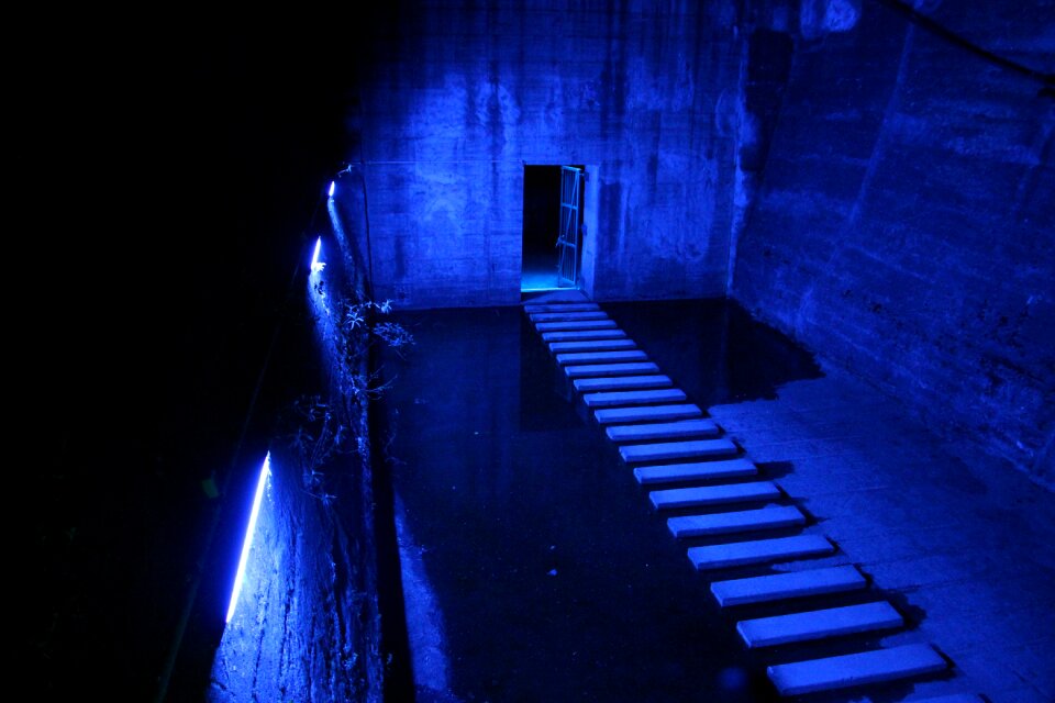 Industry blue night photograph