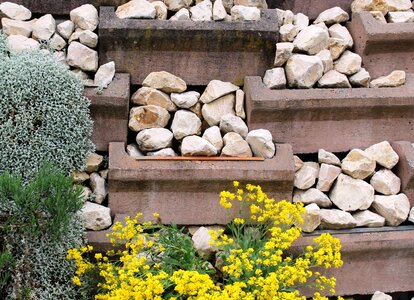 Stone wall plant fouling photo