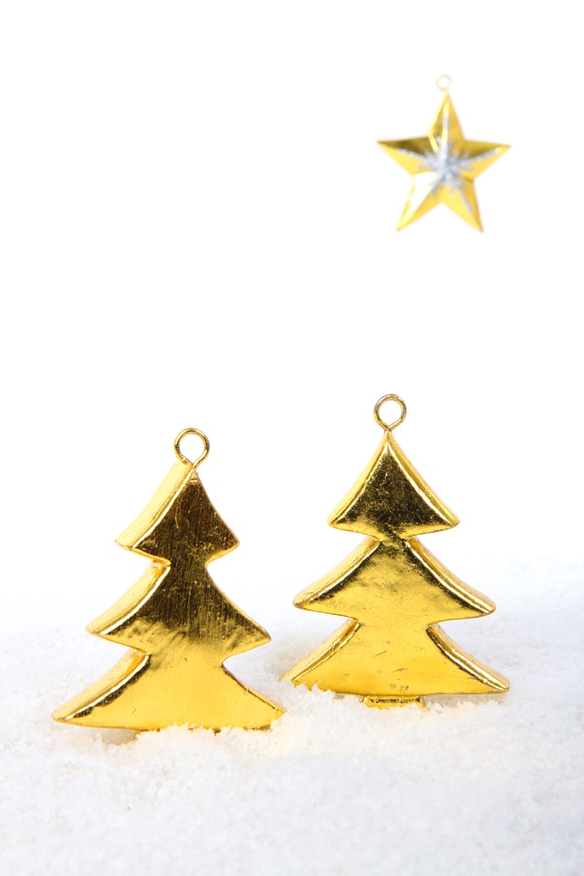 Holiday isolated star