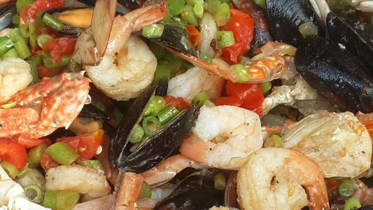 Restaurant meal sea life