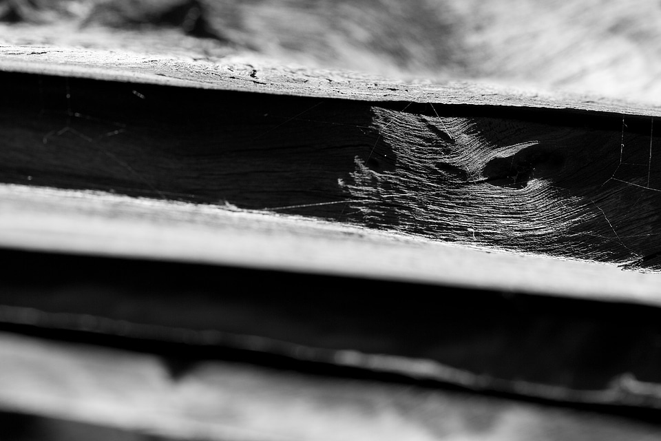 Grunge lumber grain photo