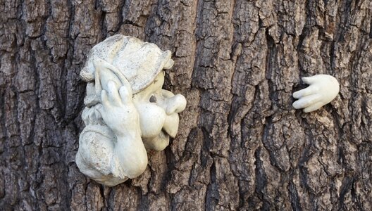 Tree spirit decoration figure photo