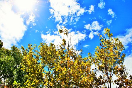 Clouds white bright photo